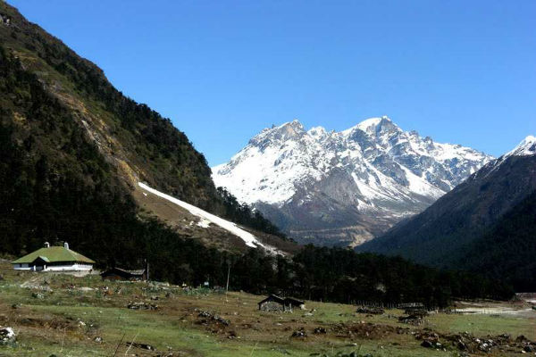 Yumthang Valley